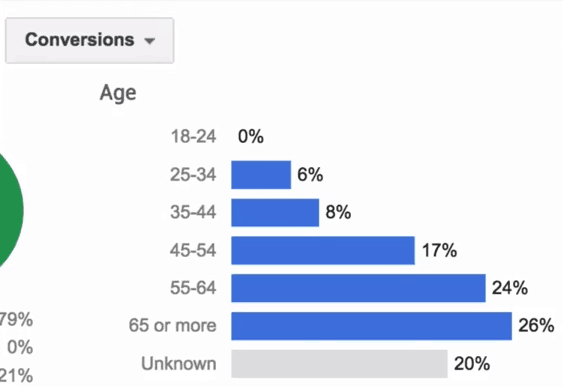 adwords audit - age breakdown