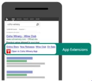 app extensions Bing
